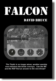 Falcon by David Bruce